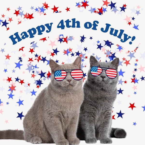 a 4th of july greeting